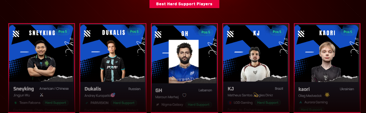 Hard Support Pro Players