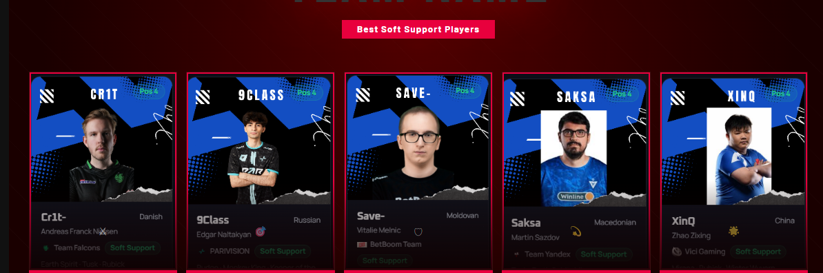 Pro Soft Support Players