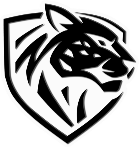 Ilbirs eSports
