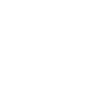Shopify Rebellion